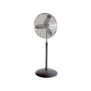 Pedestal Fans