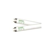 Fluorescent - Linear