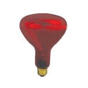 Incandescent - Heat Lamps