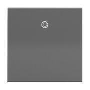 Paddle Switches